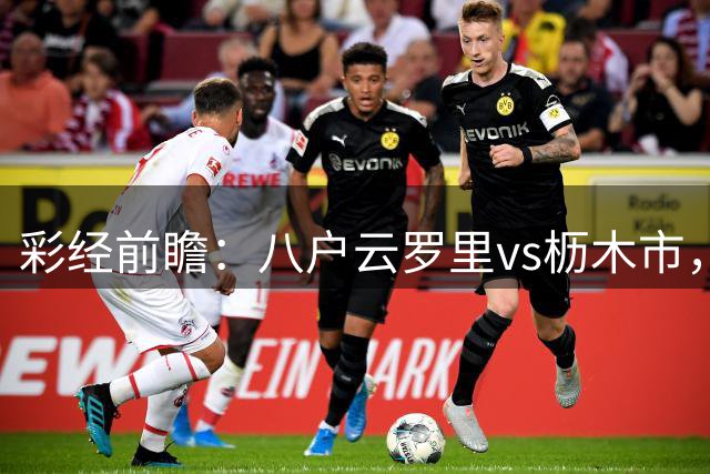 彩经前瞻：八户云罗里vs枥木市，客队进攻火力强预计不败